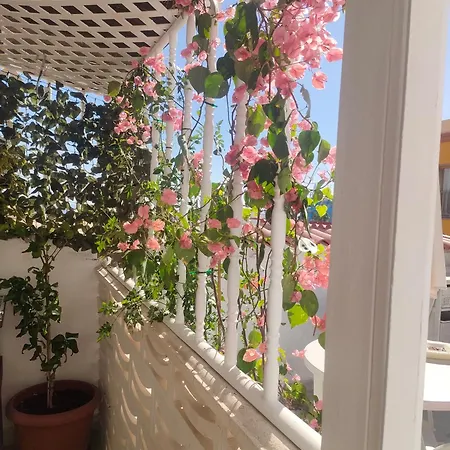 Alba 2 Y Alba 3 Habitación Con Baño Apart-hotel Puerto del Rosario (Fuerteventura)