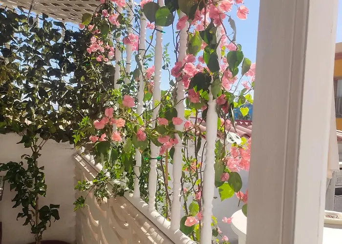 Alba 2 Y Alba 3 Con Bano Aparthotel Puerto del Rosario (Fuerteventura)